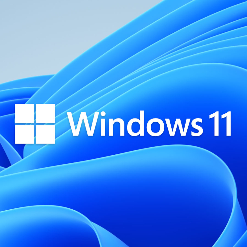 Microsoft Windows 11 Home Plus Single Language OEM - Image 2